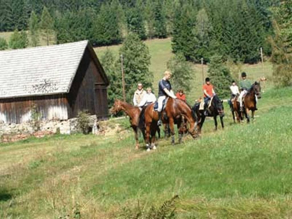 Reiterhof Stoeglehner Villa Rainbach im Mühlkreis Esterno foto